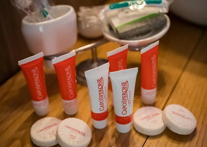 Hotel Caposperone 4*